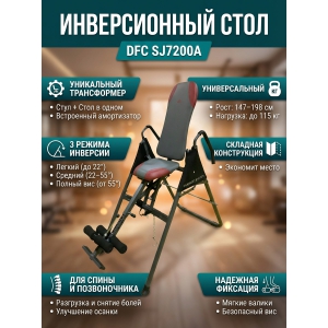 ������������ ���� � �������� DFC SJ7200A