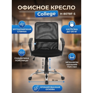 ������������ ������ College H-8078F-5