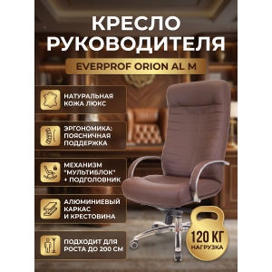 ������ ������������ Everprof Orion AL M ����