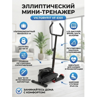 ������������� ���� �������� VictoryFit VF-E101