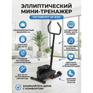 ������������� ���� �������� VictoryFit VF-E101