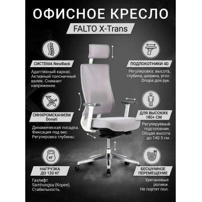 ������� ������ Falto X-Trans