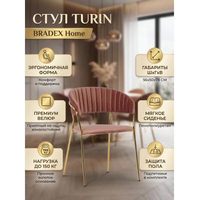 ���� ��� ���� � ����� Bradex Home Turin � �������� �������