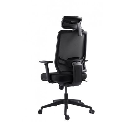    GT Chair InFlex Z