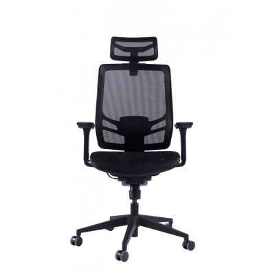    GT Chair InFlex M