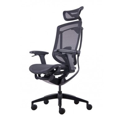    GT Chair InFlex X