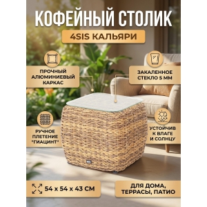 �������� ������ �� �������������� ������� (�������) 4SIS ��������