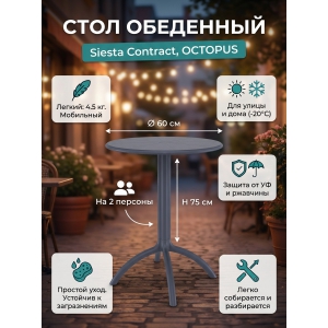 ���� ����������� Siesta Contract Octopus