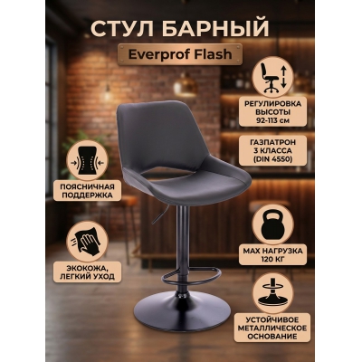 ���� ������ Everprof Flash �������