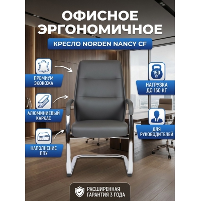 ������ ������� Norden Nancy CF