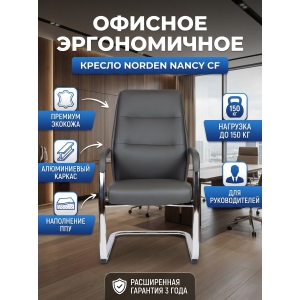 ������ ������� Norden Nancy CF