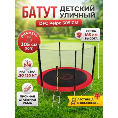 ����� � ������ DFC Pelpo 10ft �������
