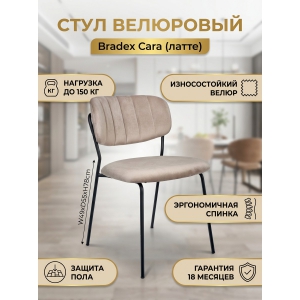 ���� Bradex Home Carol