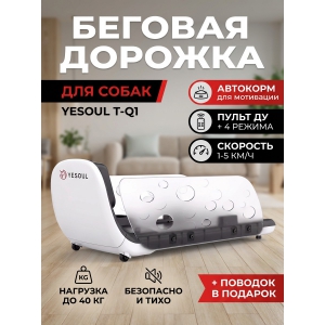 ������� ������� ��� ����� DFC Yesoul T-Q1