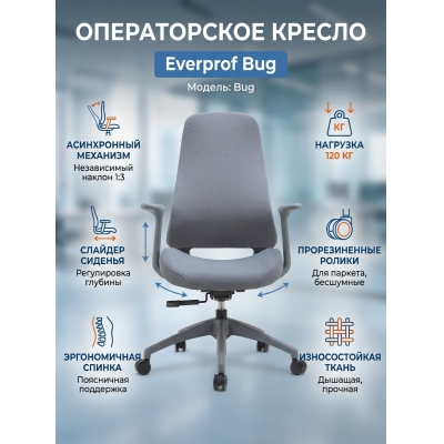 ������������ ������ Everprof Bug �����