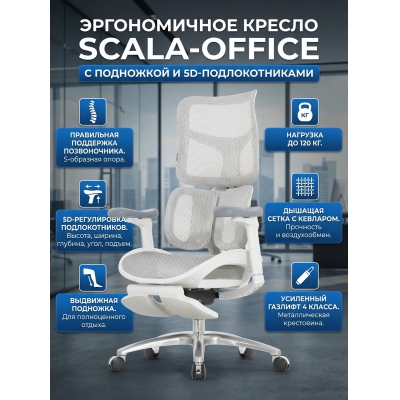 ������������ ������ Falto SCALA-OFFICE � ��������� (�����)