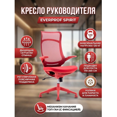 ������ ������������ Everprof Spirit �����, �������