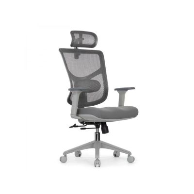   Falto Star Office Ergo 3 (, , )