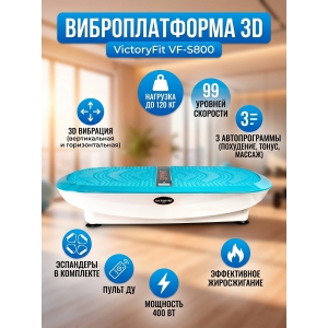 �������������� 3D VictoryFit VF-S800 (�����)