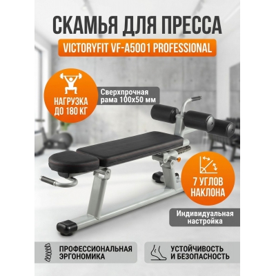 ������ ��� ������ VictoryFit VF-A5001