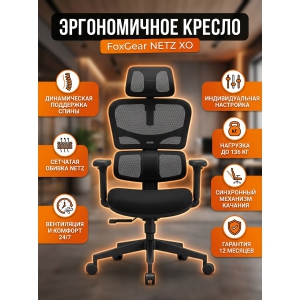 ������������ ������������ ������ FoxGear NETZ ������ XO - office edition