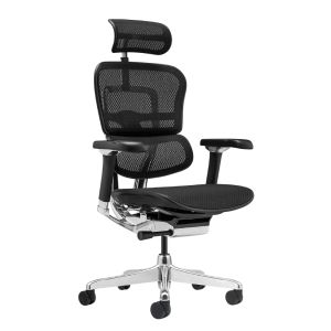 ������������ ������ ������ ���� Falto Ergohuman 2 Luxury ����� , ������