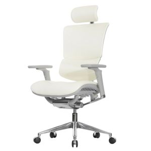 ������ Falto Leather Premium SL, ���������� ���������� ����, ����������� ����, ������ �����, �����