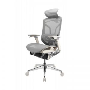 ������� ������������ ������ GTCHAIR Chair Dvary X Pro, �����
