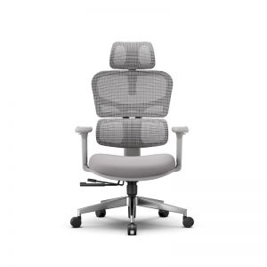 ������������ ������������ ������ FoxGear NETZ ������ XO - office edition, �����