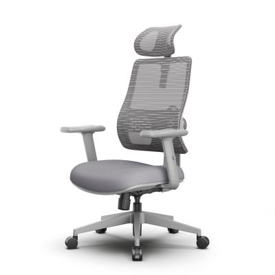 ������������ ������������ ������ FoxGear NETZ One, DGGY, �����