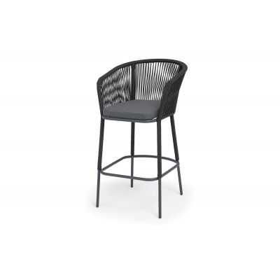 ���� ������ �������� �� ����� 4SIS �������