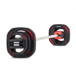 ����-������ REBEL ����-������ ��� �������� 19,8 �� REBEL