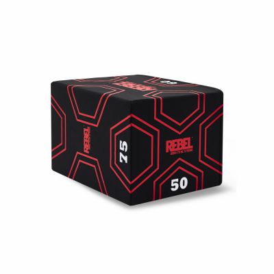 ��������������� ���� REBEL ��������������� ���� 3 � 1 REBEL