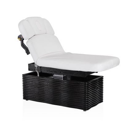 ���� ��������� � ��������������� Mizomed NESS-D Salon, �����
